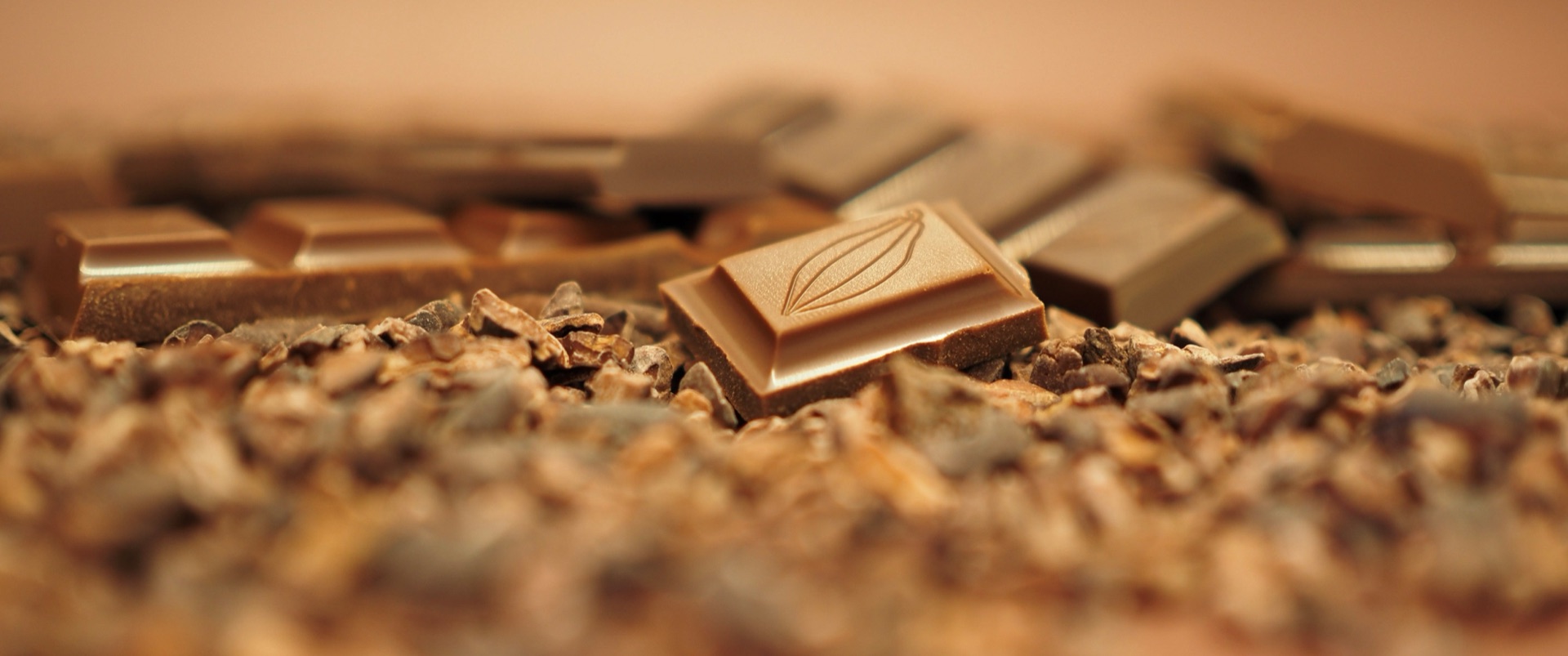 Maj Chocolaterie Végétale